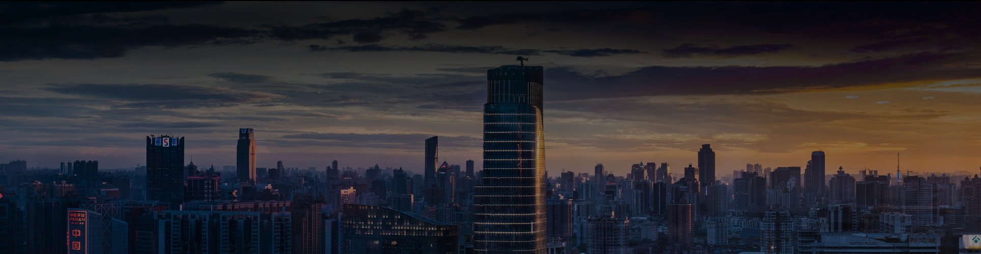 Terms and Conditions